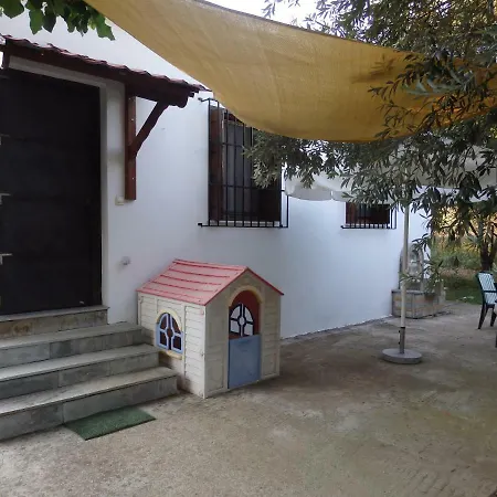 The Small House In The Olive Grove