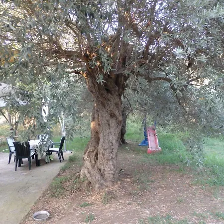 Prázdninový dům The Small House In The Olive Grove *