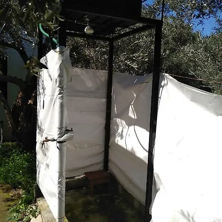 The Small House In The Olive Grove
